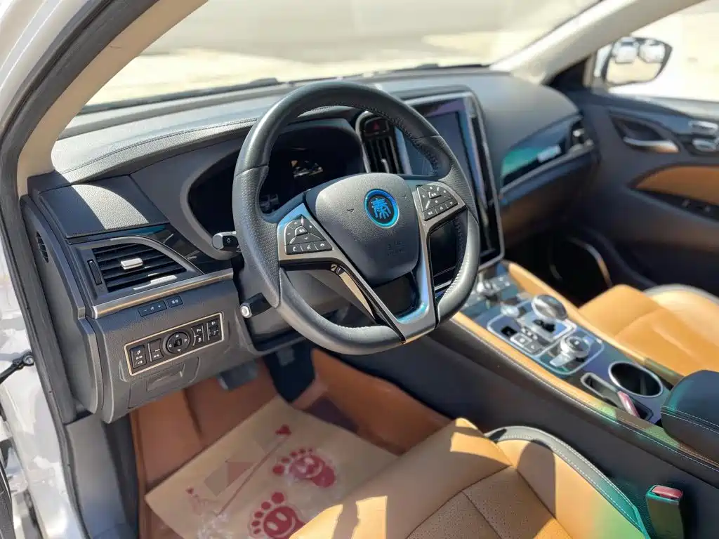 BYD Qin New Energy 2018 2018 Qin EV450 Smart Connected Premium Edition