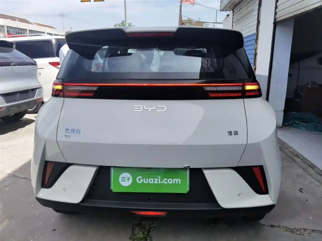 BYD Seagull 2025 Smart Drive Edition 305km Vitality Version фото 6