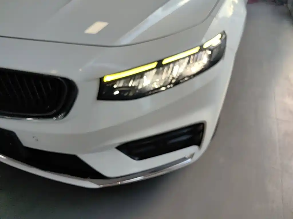 Фото 24 - Geely Preface