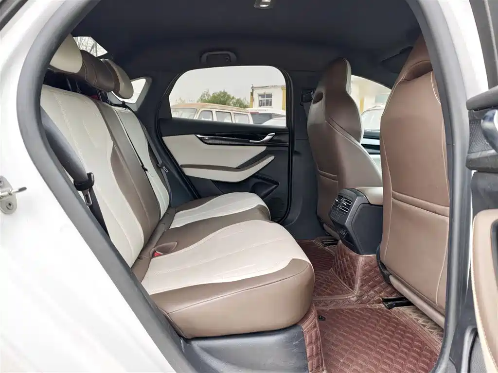 BYD Qin PLUS 2024 Glory Edition DM-i 55KM Leading фото 12