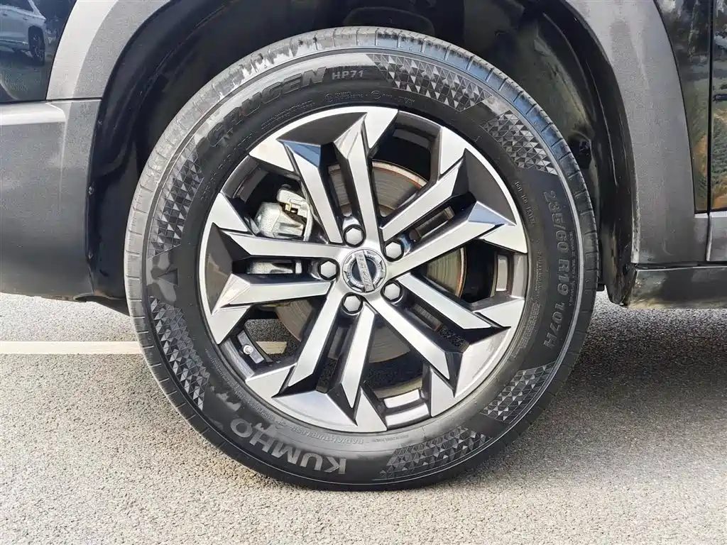 Haval Big Dog 2022 1.5T DCT FWD Border Collie Edition фото 15