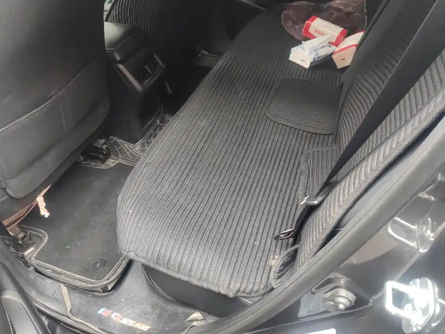 Changan CS55 PLUS 2020 2021 Blue Whale Edition 1.5T DCT Luxury