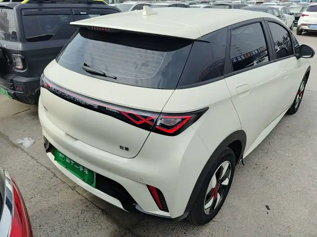 BYD Dolphin 2026 2025 420km Freedom Edition