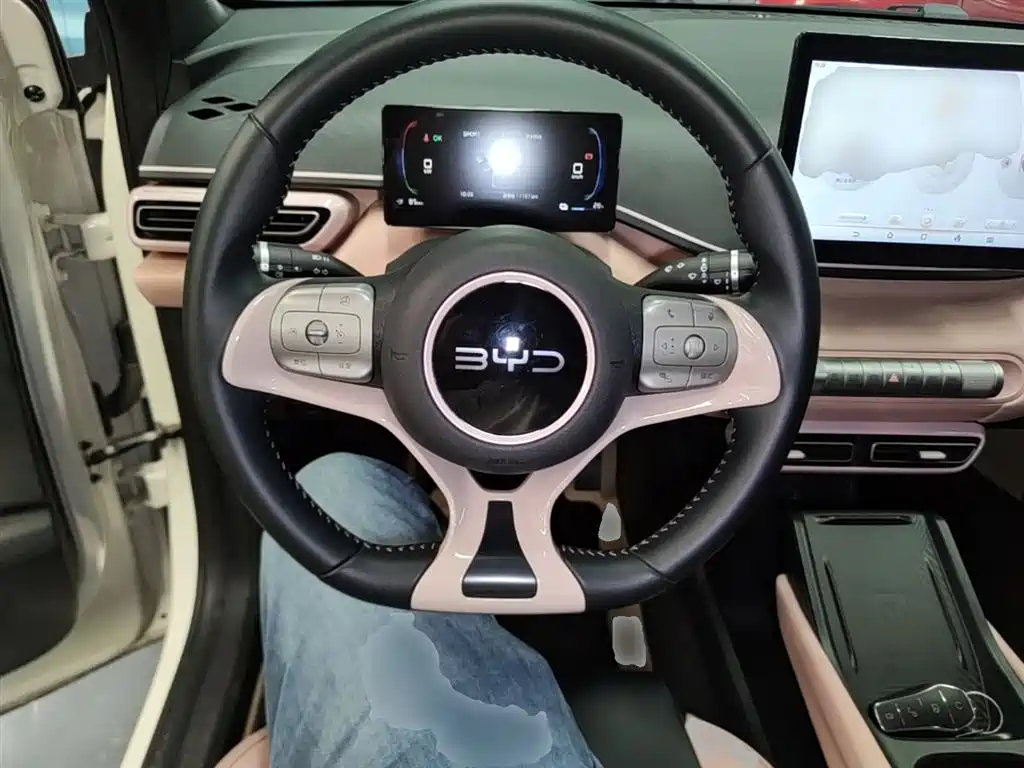 BYD Seagull 2024 Glory Edition 305km Freedom Edition фото 11