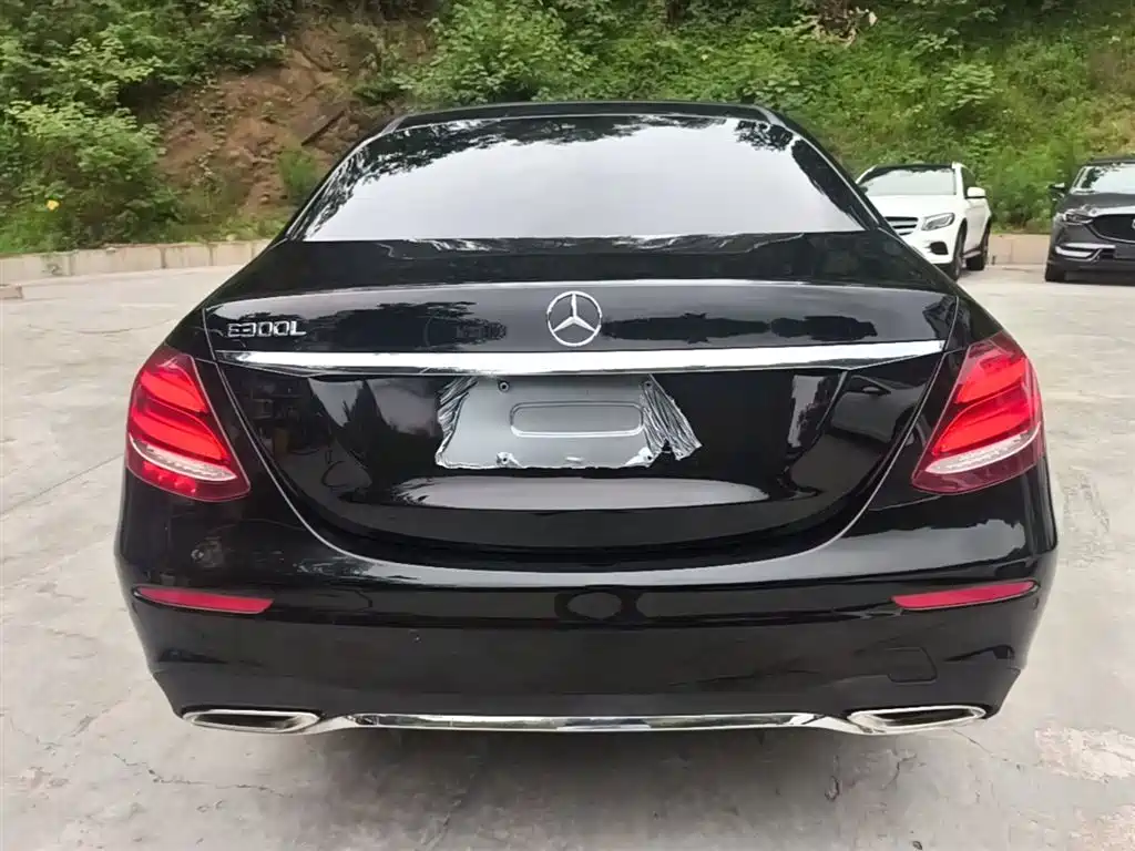Mercedes-Benz E-Class 2020 Facelift E 300 L Sport Fashion фото 6