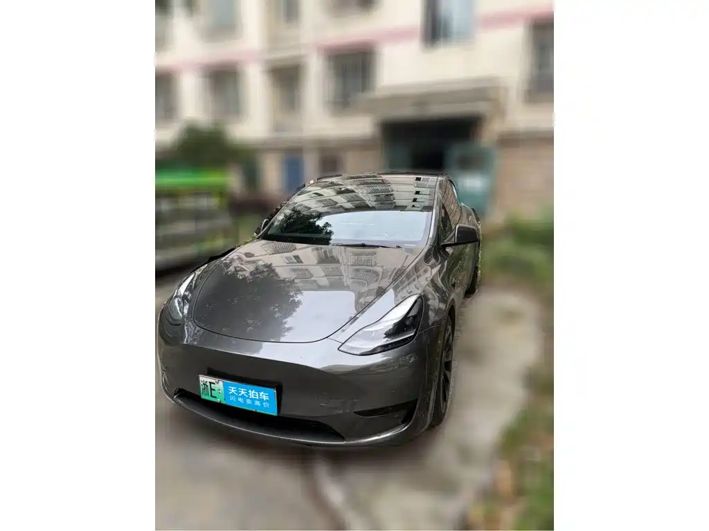 Tesla Model Y 2022 Rear-Wheel Drive Version