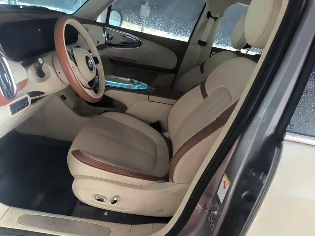 Ora Ballet Cat 2023 2023 401km Premium Model