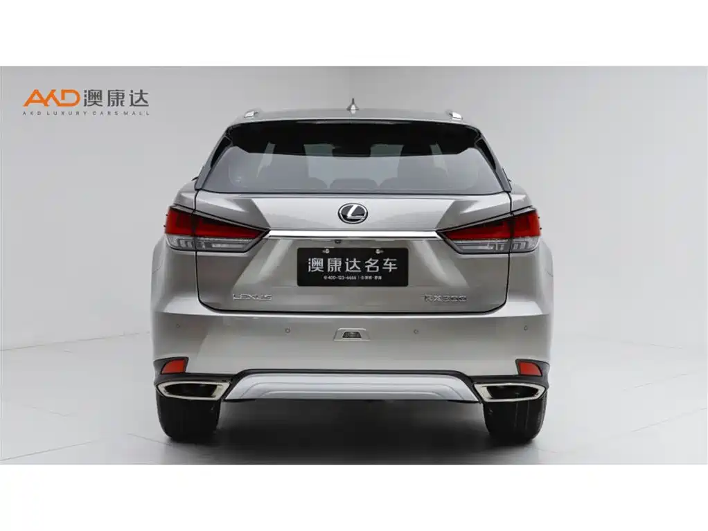 Фото 4 - Lexus RX