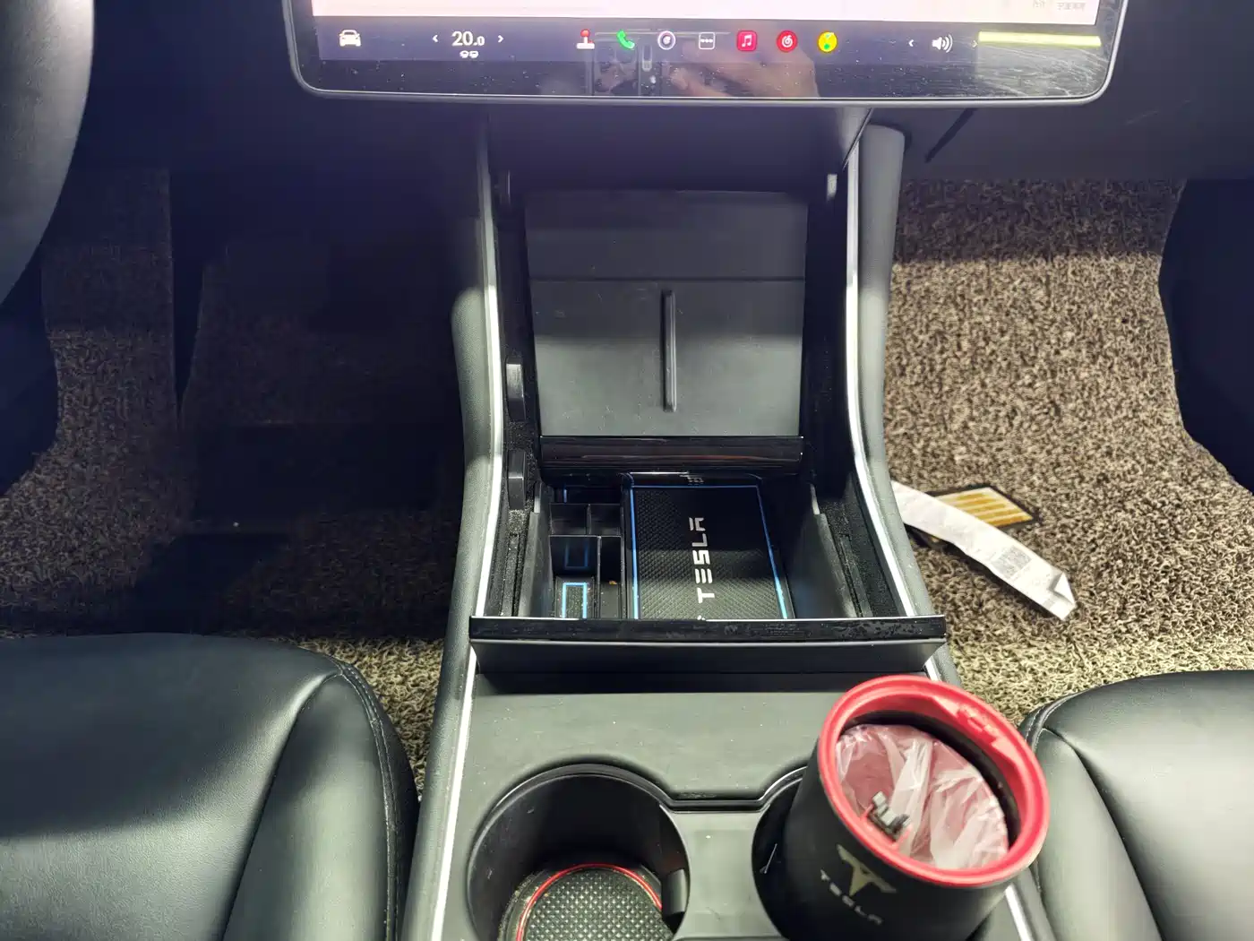 Tesla Model 3 2020 Standard Range Rear-Wheel Drive Upgrade фото 12