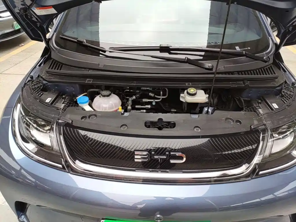 BYD Dolphin 2026 2025 420km Freedom Edition