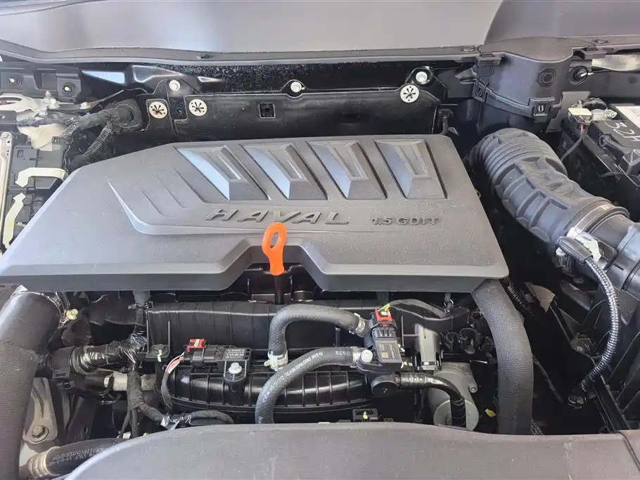 Haval Big Dog 2021 1.5T DCT 2WD Border Collie Edition фото 10