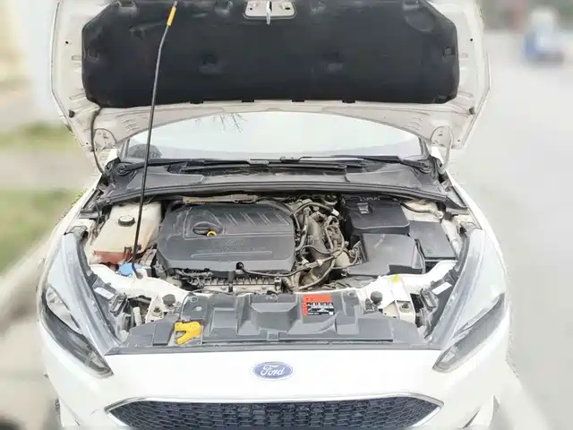 Ford Focus 2015 Hatchback EcoBoost 180 Automatic Sport — фото 3
