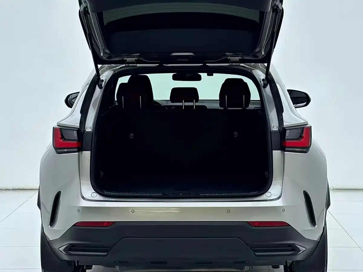 Lexus NX 2024 2023 260 FWD Joy Creation Edition