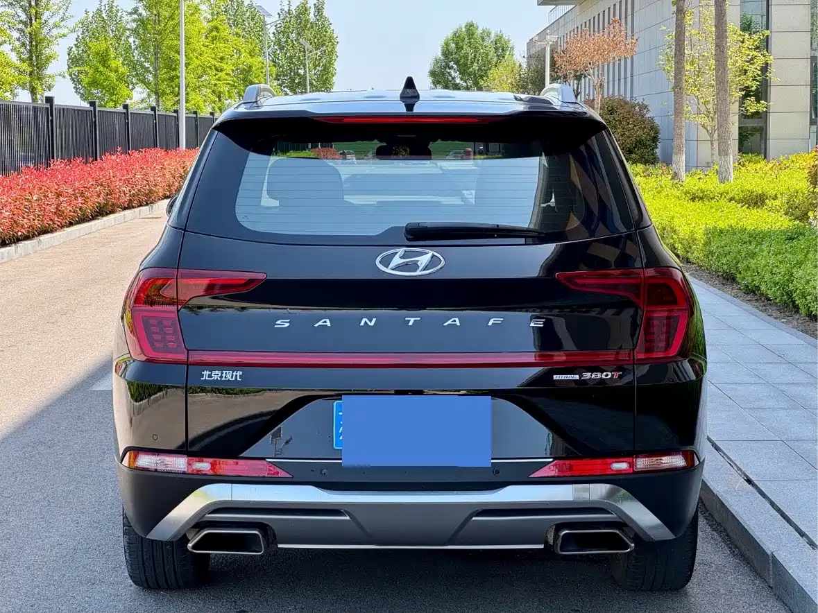 Hyundai Santa Fe 2020 380 TGDi Auto 4WD DLX HTRAC Premium PLUS фото 16