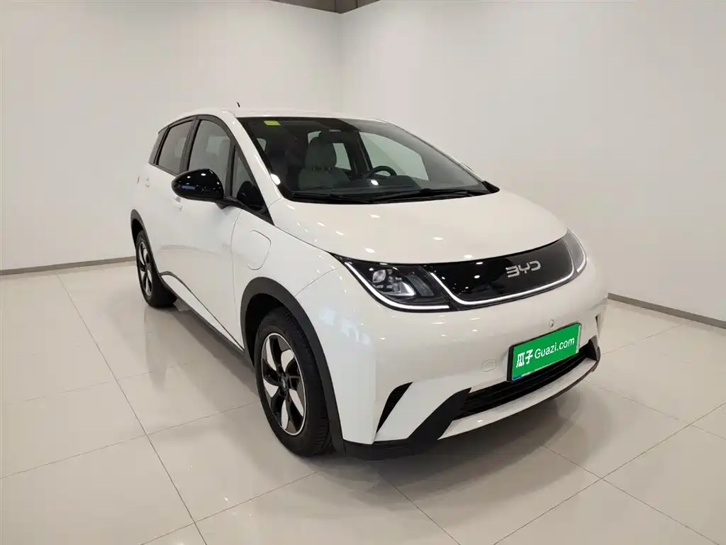 BYD Dolphin 2025 420km Freedom Edition фото 4