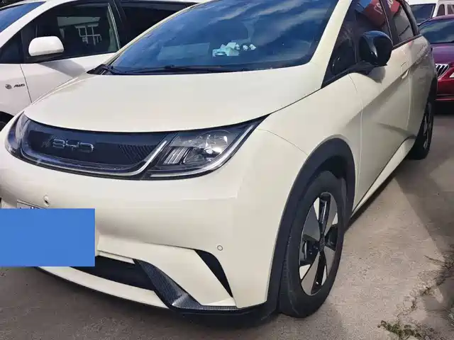 BYD Dolphin 420km, Стиль