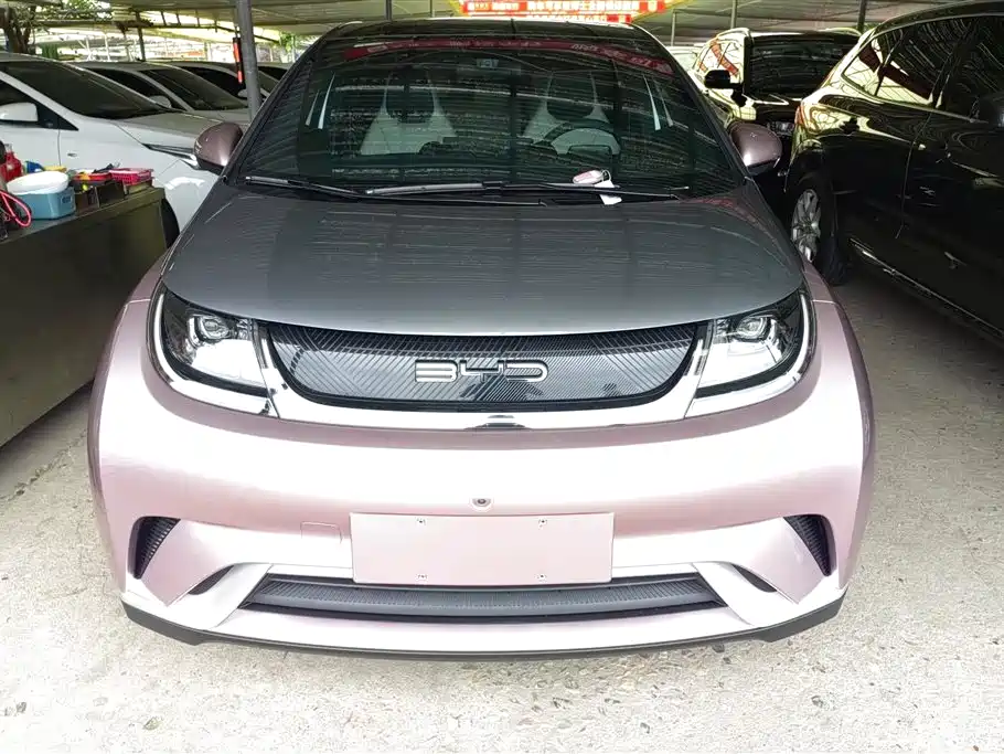 BYD Dolphin 2021 Model 405km Fashion Edition фото 2