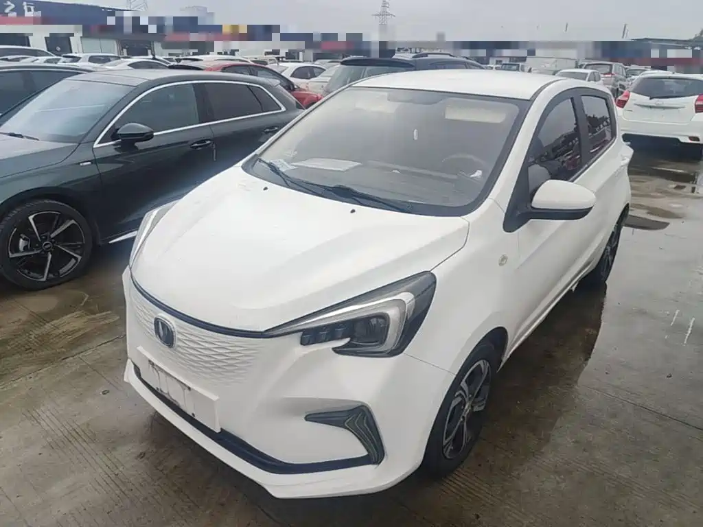 Фото 1 - Changan Benben E-Star