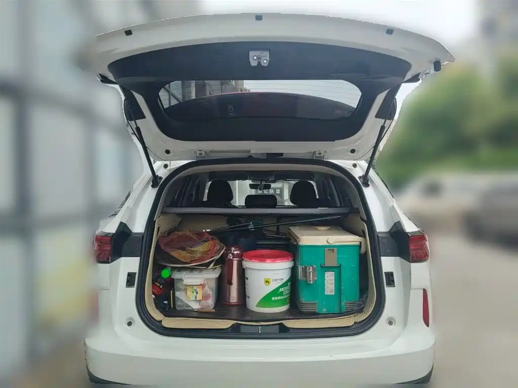 Haval H6 2021 3rd Gen 1.5T Auto 2WD Pro фото 10