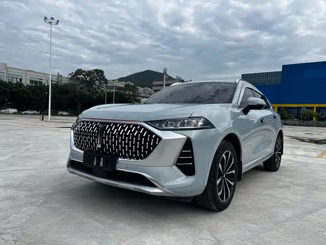  WEY Wey Mocha 2021 2.0T 2WD Premium Edition