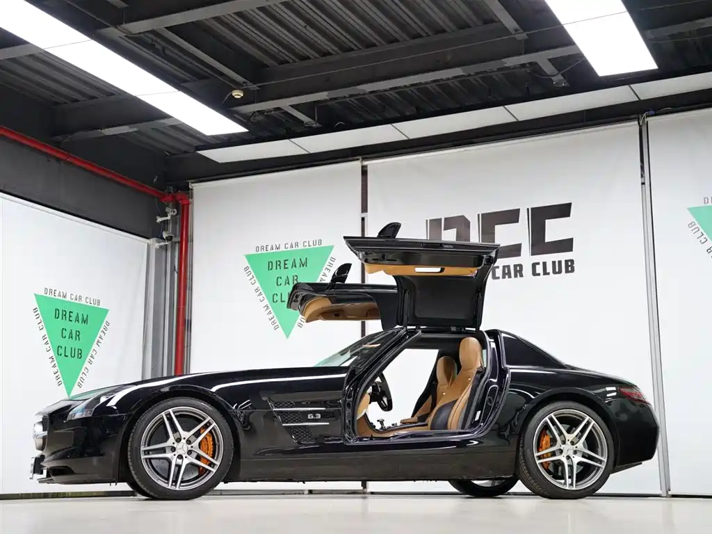 Mercedes-Benz SLS AMG 2011 SLS AMG фото 18