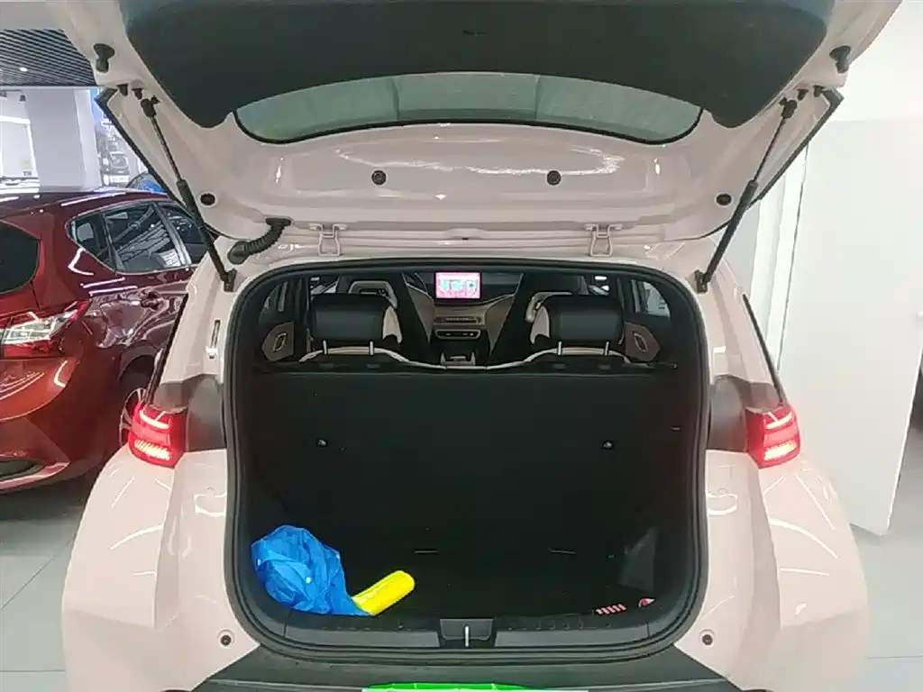 BYD Seagull 2024 Glory Edition 305km Freedom Edition фото 19