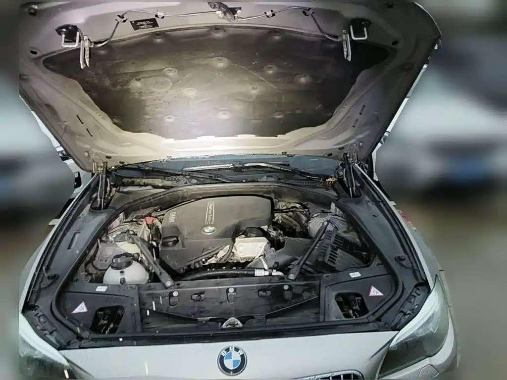 BMW 5 Series (Import) 2013 2014 520i Classic