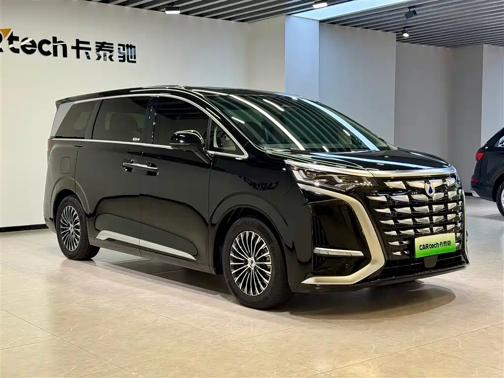 Denza D9 2024 DM-i 980 AWD Prestige фото 2