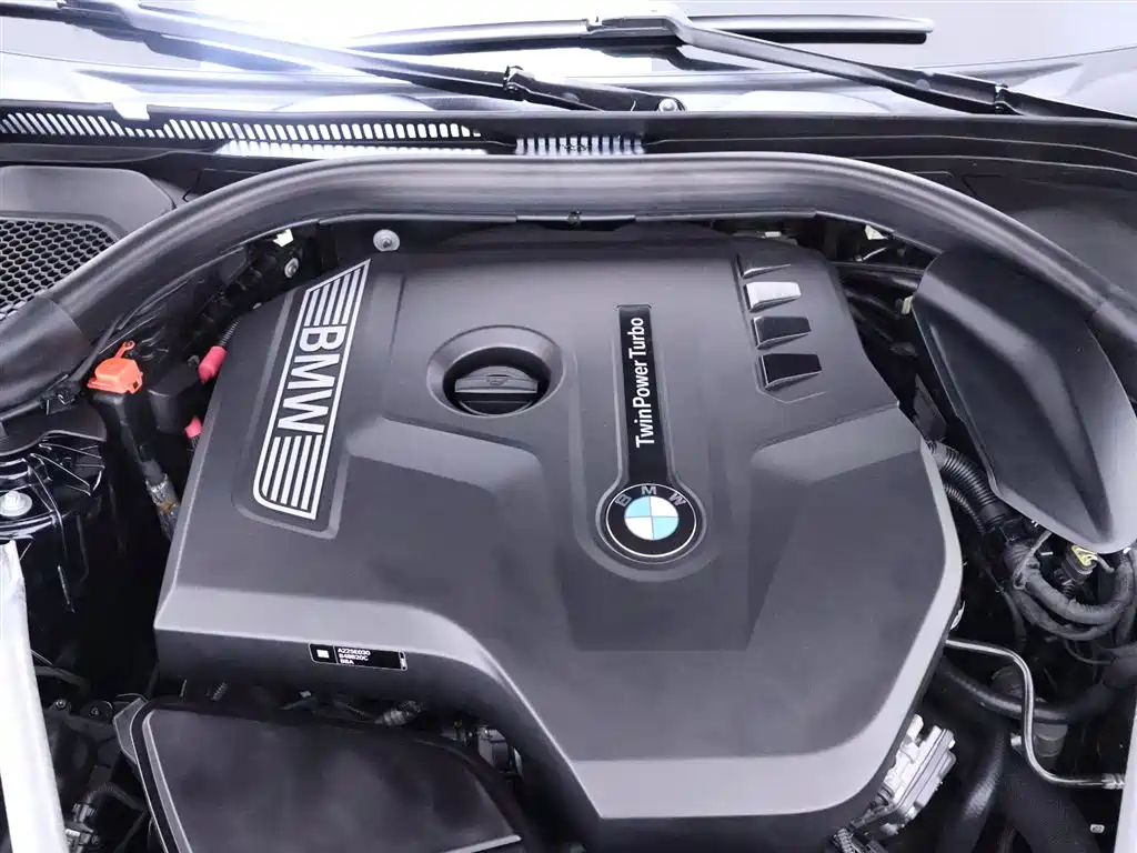 BMW 5 Series 2020 525Li M Sport Package фото 23