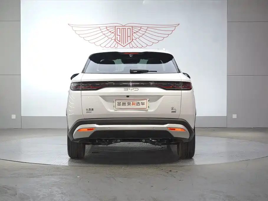 BYD Song L DM-i 2025 Smart Drive 160km Premium фото 12