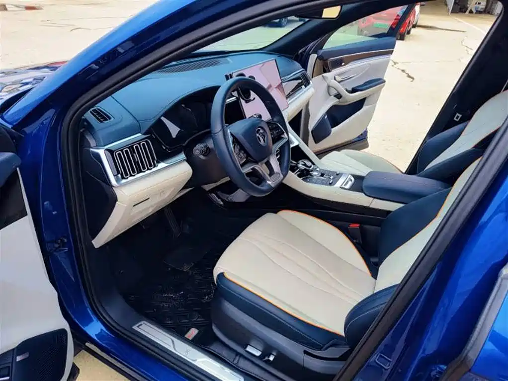 BYD Song PLUS PHEV 2021 DM-i 110KM Flagship фото 8