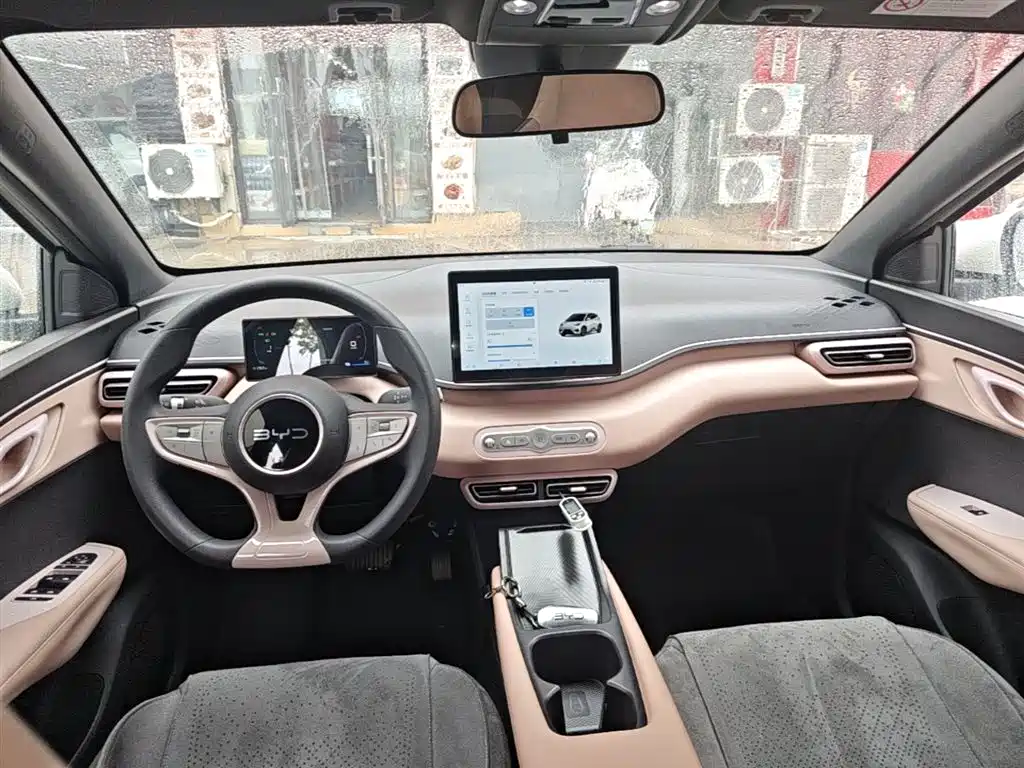 BYD Seagull 2025 Smart Drive Edition 305km Vitality Version фото 10