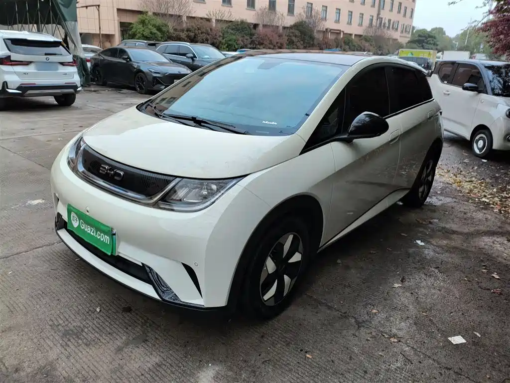 BYD Dolphin 2024 Glory Edition 420km Fashion Edition фото 2