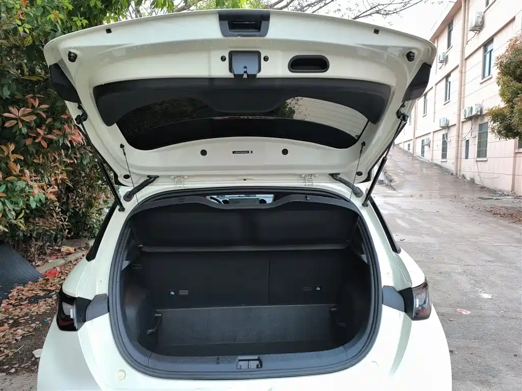 BYD Dolphin 2024 Glory Edition 420km Fashion Edition фото 19