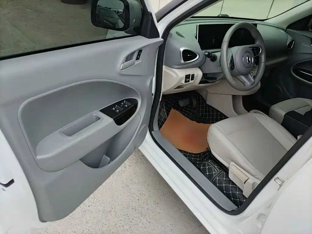 Ora White Cat 2020 2020 360km Luxury Model