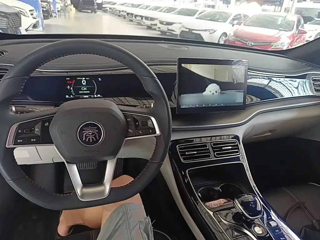 BYD Qin PLUS 2021 DM-i 55KM Premium фото 10