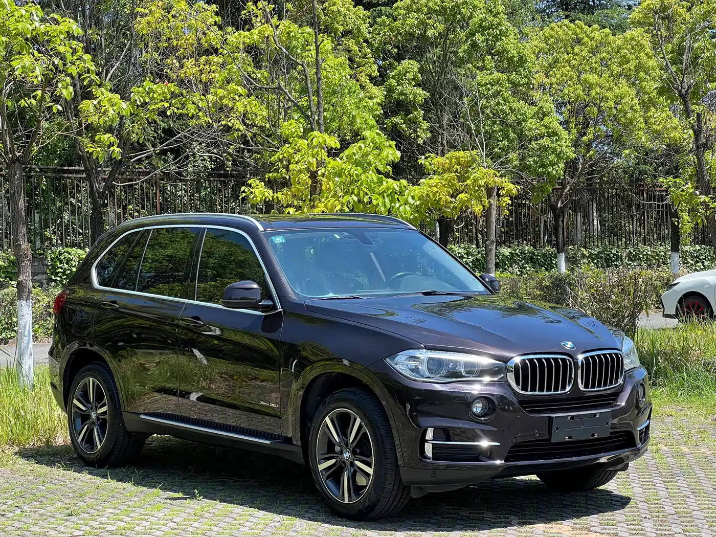 BMW X5 (Import) 2017 xDrive35i Elegance фото 3