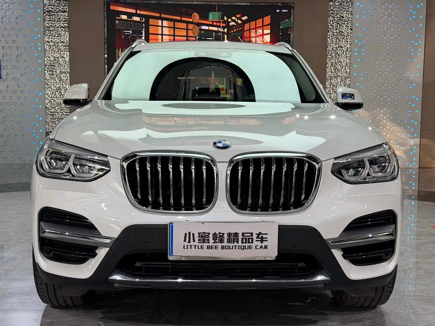 BMW X3 2020 xDrive28i Luxury Package фото 2