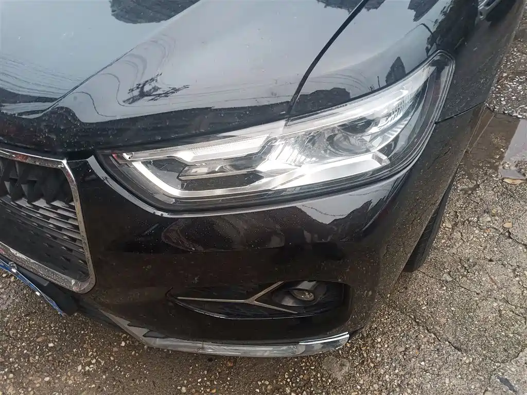 Haval H6 2021 Model National Trend Edition 1.5T Auto Champion фото 3