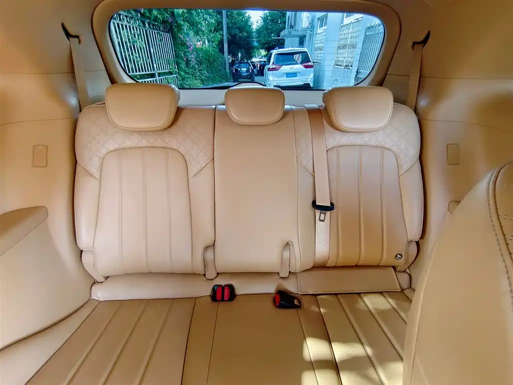 Voyah Auto Voyah Dreamer 2024 PHEV Extended Range Premium Edition фото 9