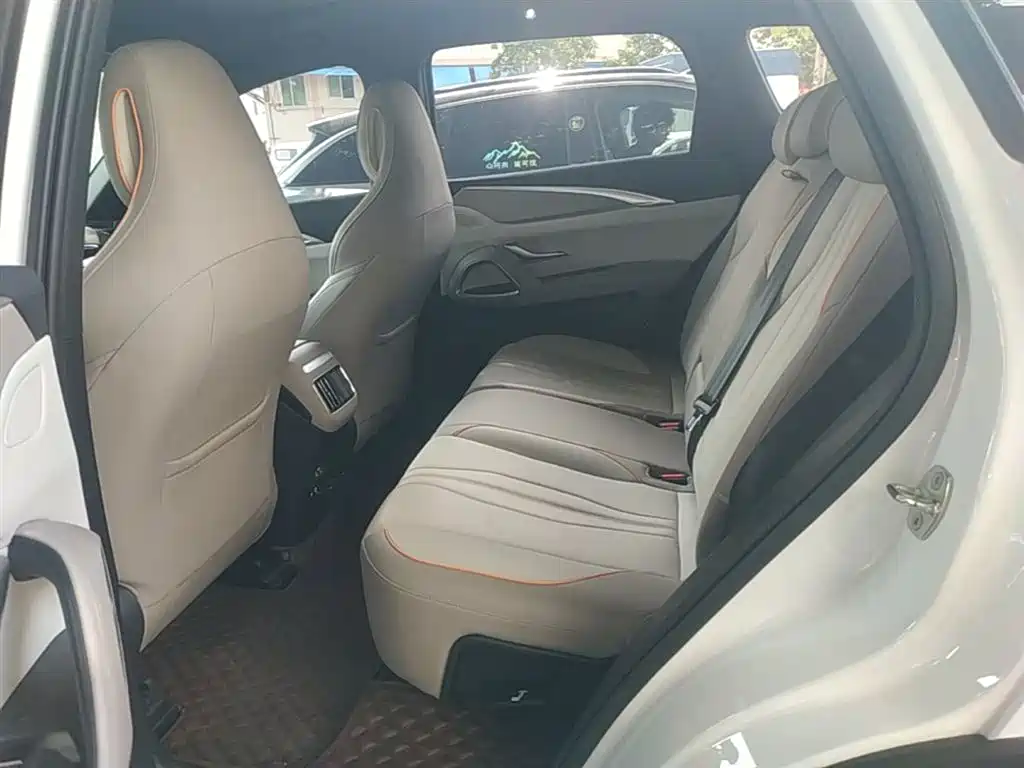 BYD Song Pro New Energy 2023 Champion Edition DM-i 110KM Excellence фото 17