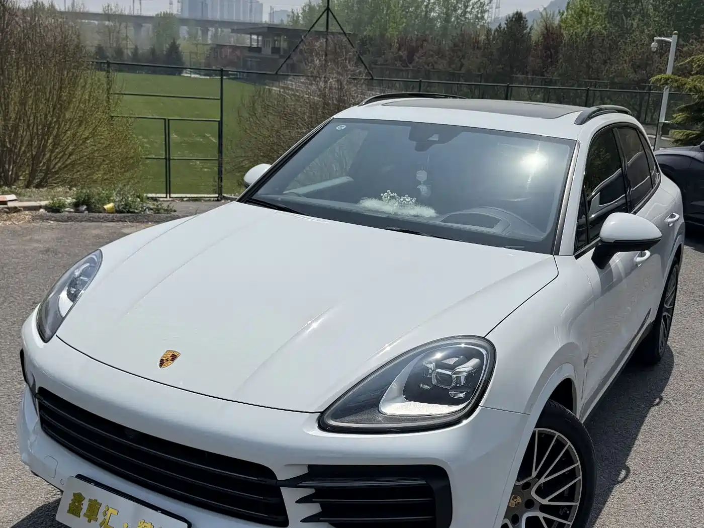 Porsche Cayenne 2023 Cayenne 3.0T Platinum Edition фото 8