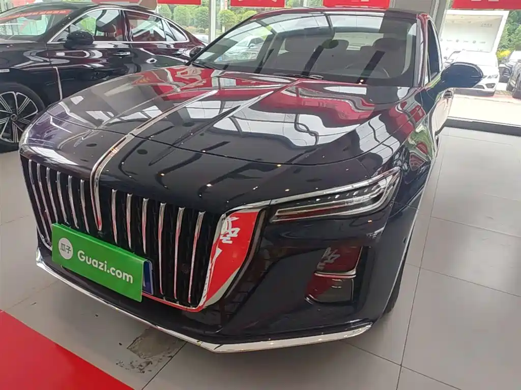 Hongqi H5 2024 2.0T Automatic Smart Connect Flag Leader Edition фото 2