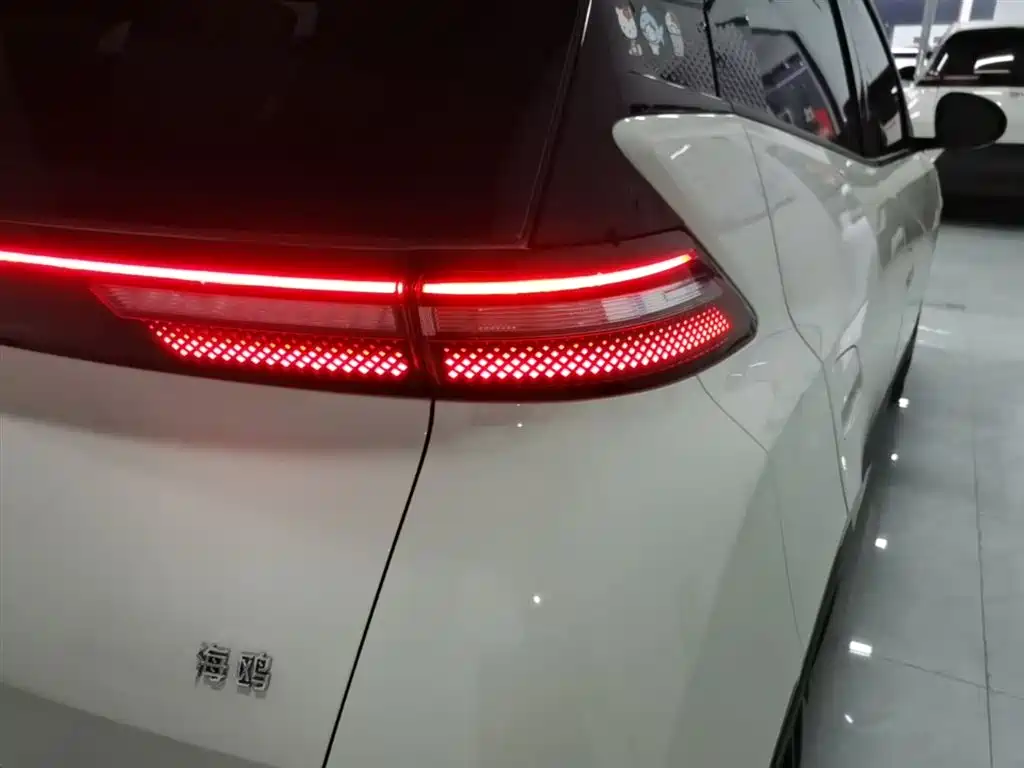 BYD Seagull 2025 305km Vitality фото 24