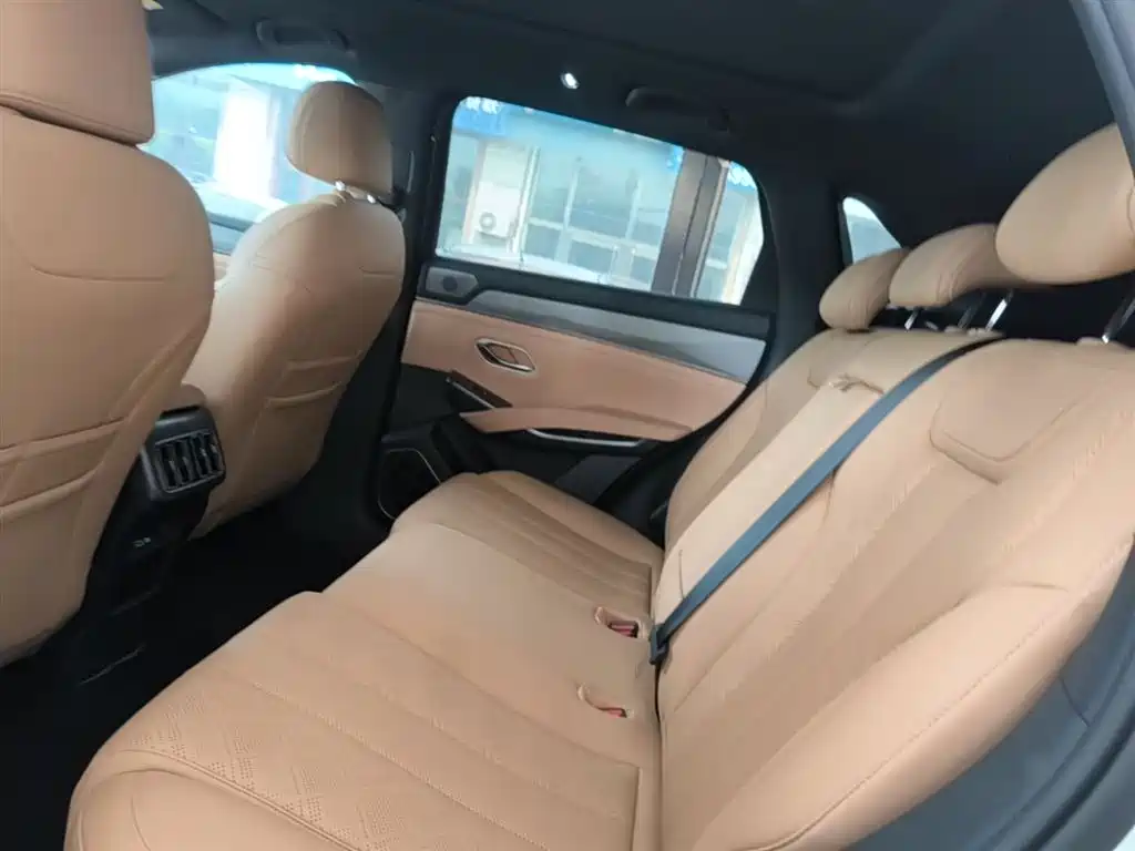 BYD Song L DM-i 2025 Model Smart Drive Edition 112km Leading Type фото 17