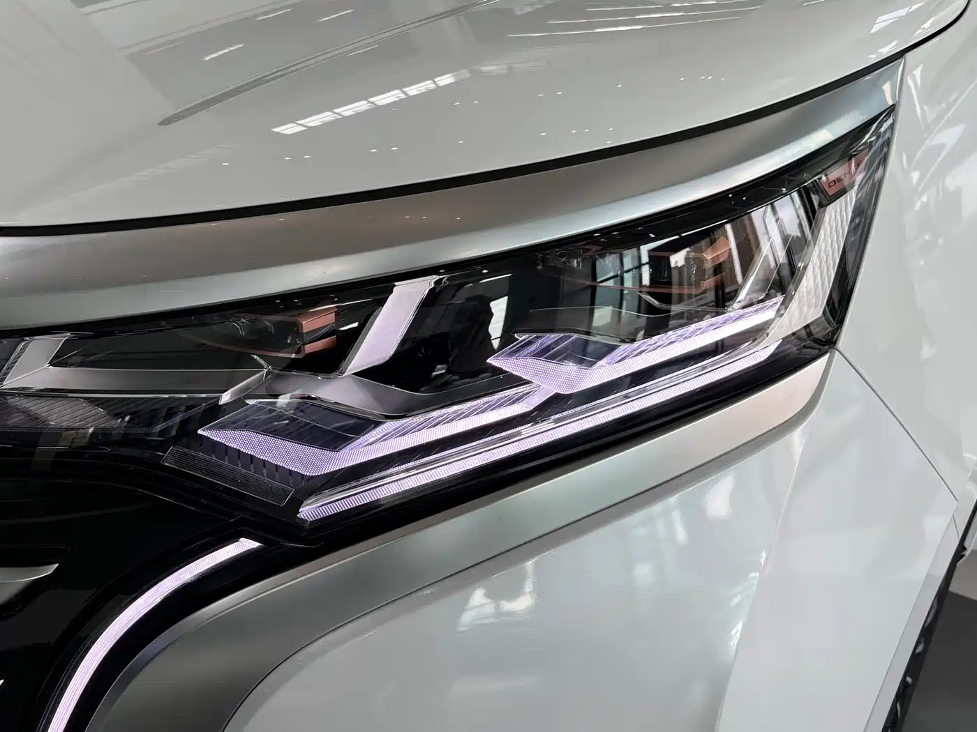 Denza D9 2022 DM-i 970 AWD Flagship фото 9