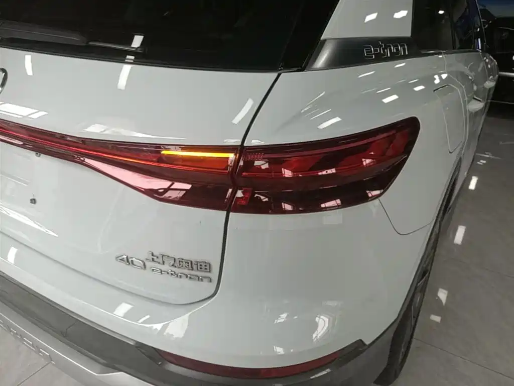 Audi Q5 e-tron 2022 40 e-tron Starlight Edition Brocade Package фото 8
