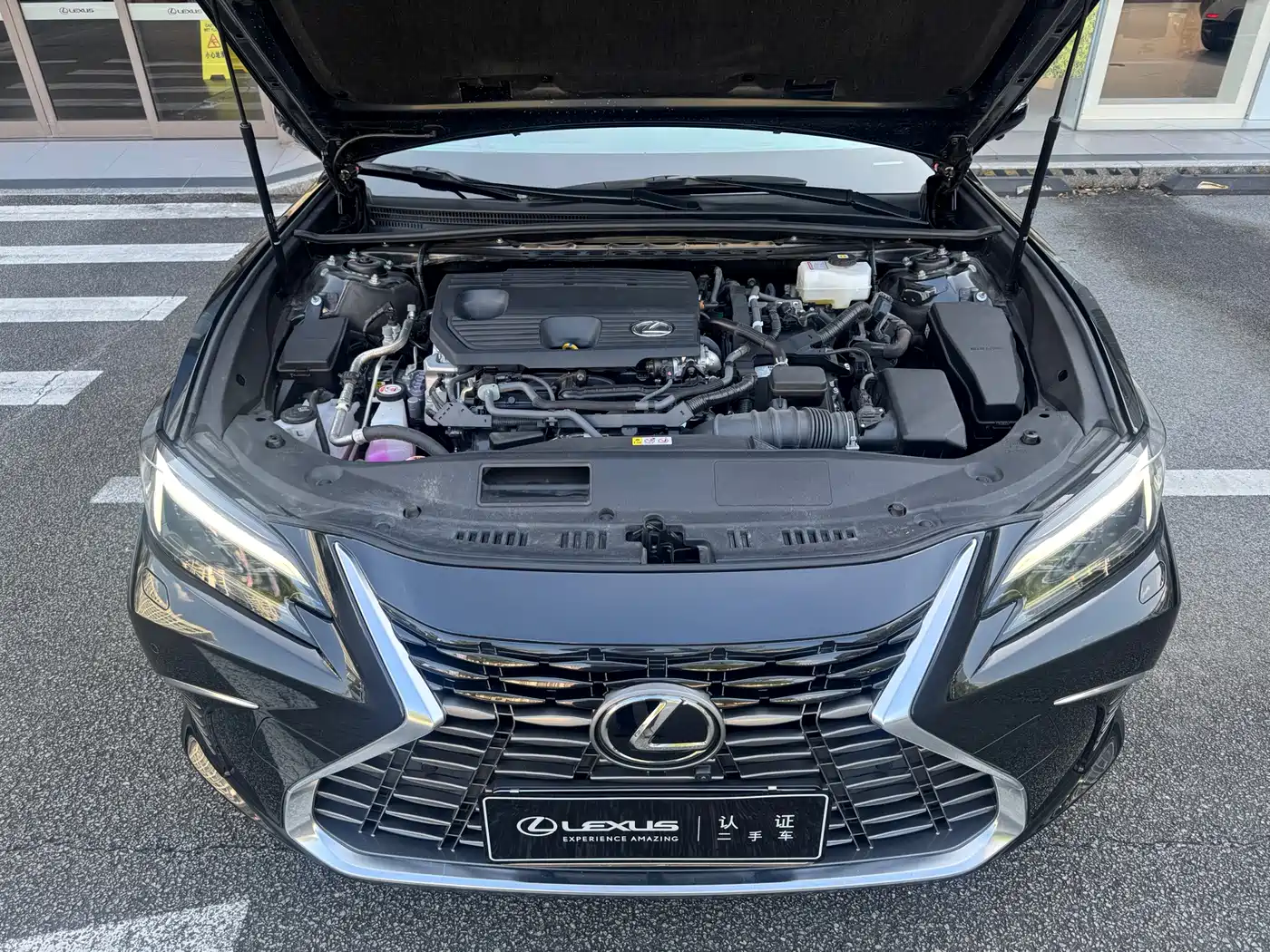 Lexus ES 2025 2025 300h Premium Edition