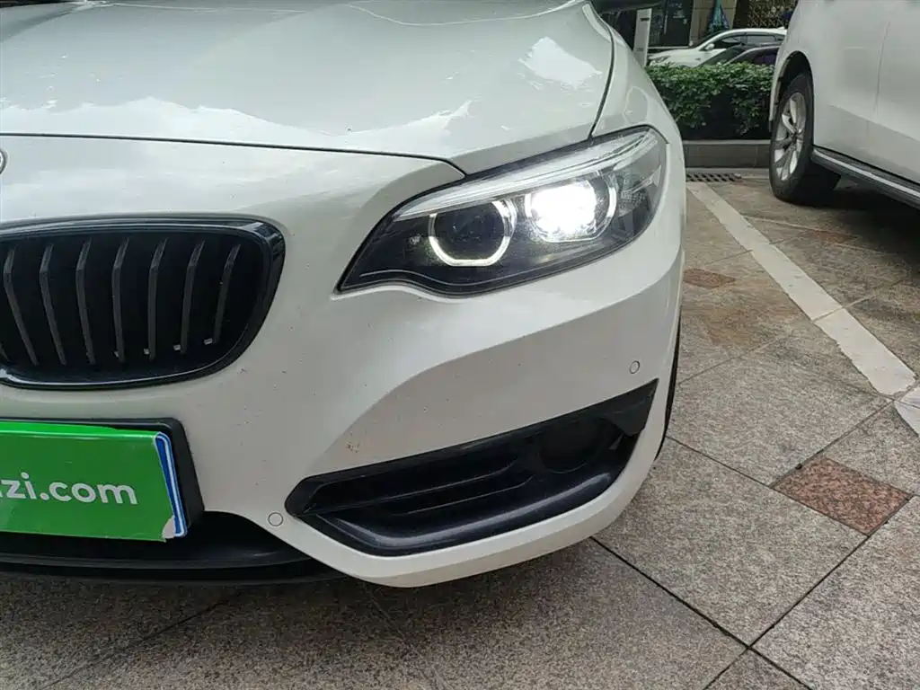 BMW 2 Series (Import) 2019 225i Convertible Coupe Sport Design Package фото 24