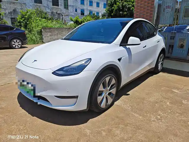 Tesla Model Y 2021 Standard Range Rear-Wheel Drive